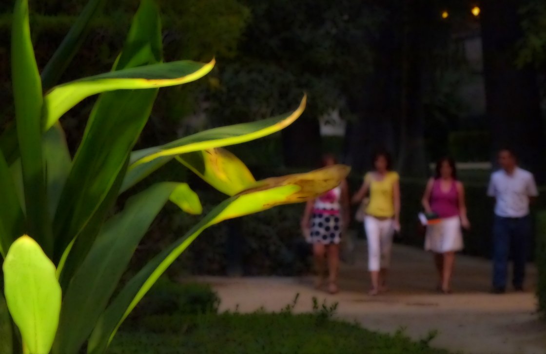 Jardines, plantas y gente