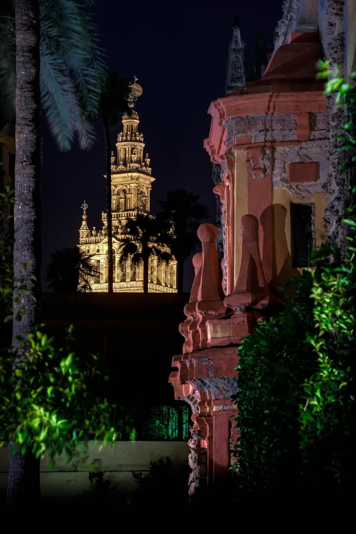 foto de jardin