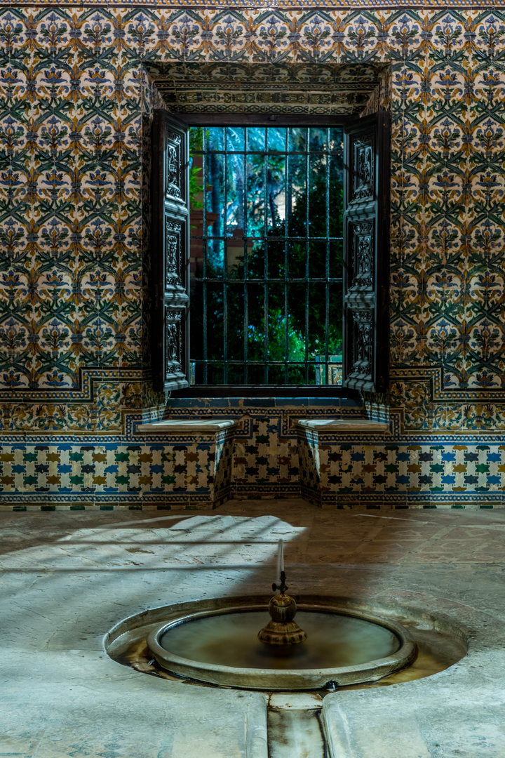 foto de jardin